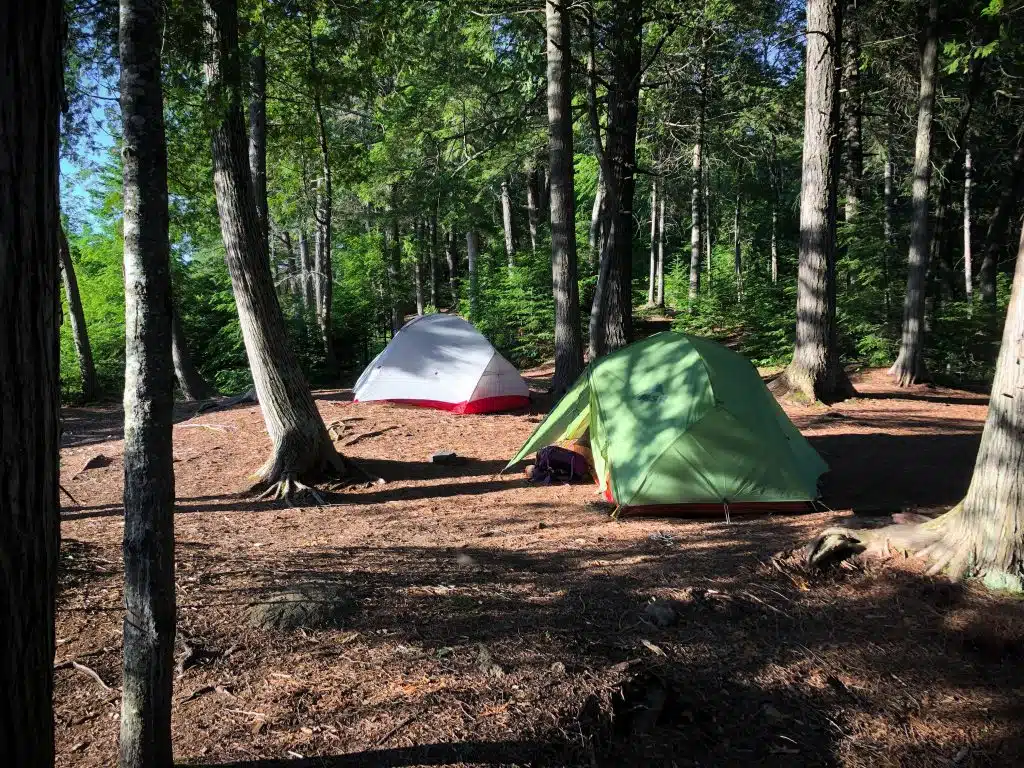 Complete Guide to Hiking the Highland Backpacking Trail in Algonquin